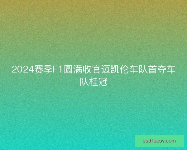2024赛季F1圆满收官迈凯伦车队首夺车队桂冠